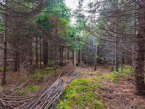 Lot 22-11 Back Country Lane, Wentworth, NS 