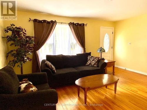 124 Hazlitt Street, Peterborough (Ashburnham), ON - Indoor Photo Showing Living Room