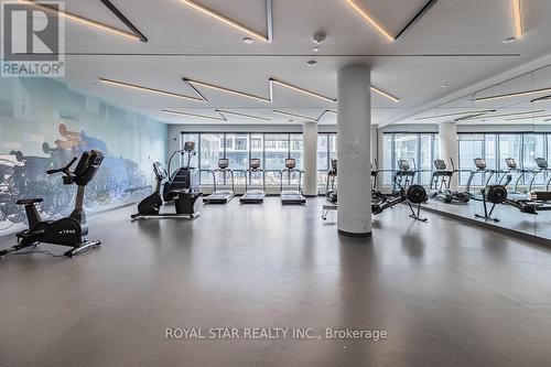 1511 - 225 Sumach Street, Toronto C08, ON - Indoor Photo Showing Gym Room