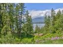 3541 20 Street Ne, Salmon Arm, BC 