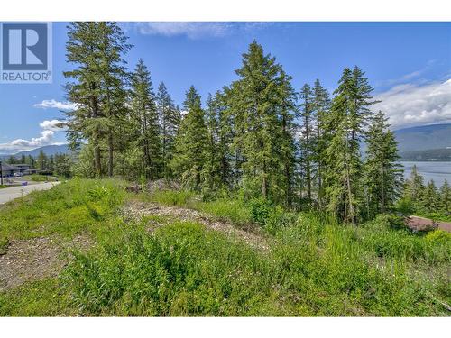 3541 20 Street Ne, Salmon Arm, BC 