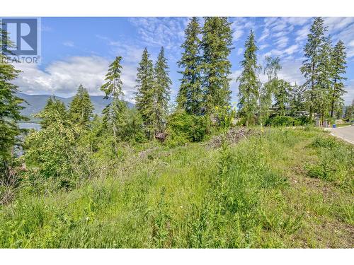 3541 20 Street Ne, Salmon Arm, BC 