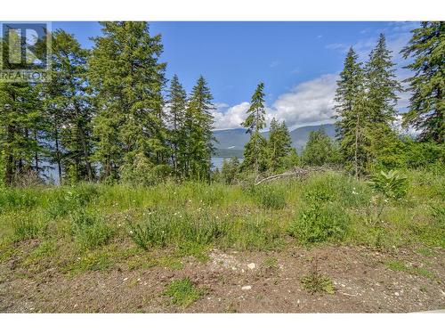 3541 20 Street Ne, Salmon Arm, BC 