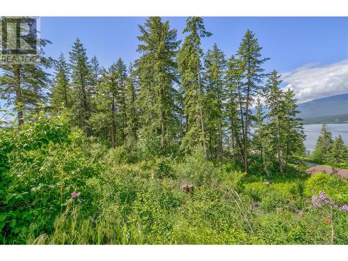 3541 20 Street Ne, Salmon Arm, BC 