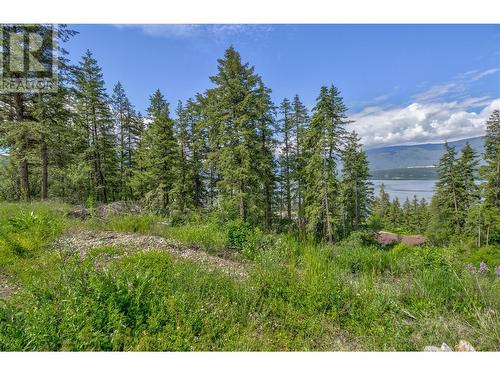 3541 20 Street Ne, Salmon Arm, BC 