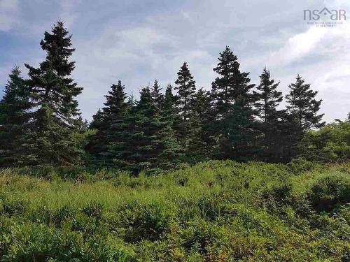 Lot 5 Stewart'S Point Road, East Port L'Hebert, NS 