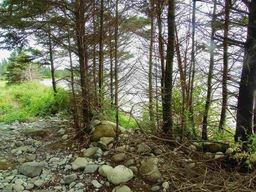 Lot 5 Stewart'S Point Road, East Port L'Hebert, NS 