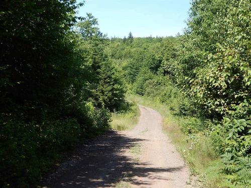 Scotsburn Road, West Branch, NS 