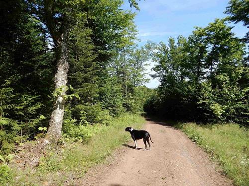 Scotsburn Road, West Branch, NS 