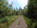 Scotsburn Road, West Branch, NS 