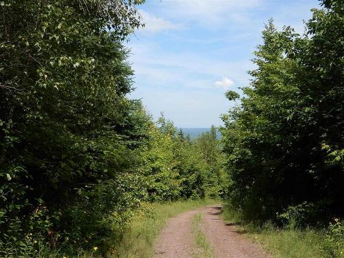 Scotsburn Road, West Branch, NS 