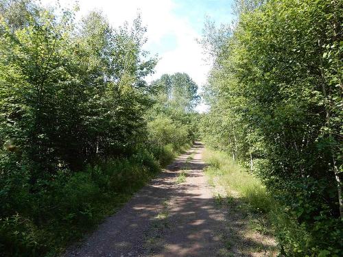 Scotsburn Road, West Branch, NS 