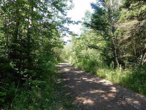 Scotsburn Road, West Branch, NS 