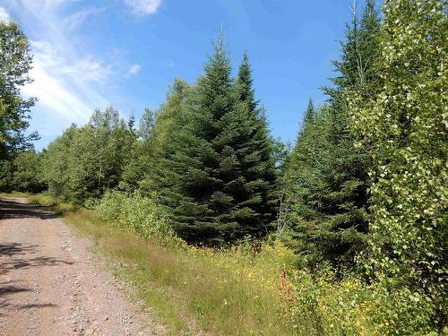 Scotsburn Road, West Branch, NS 