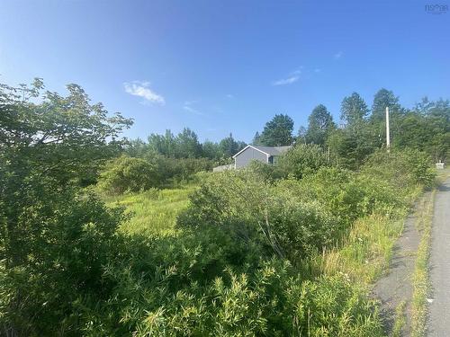 Lot 11-3 Beaton Court, Antigonish, NS 