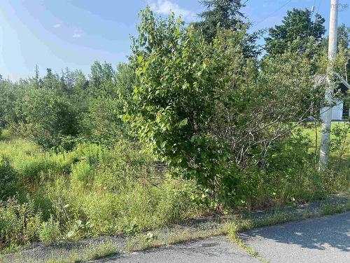 Lot 11-3 Beaton Court, Antigonish, NS 