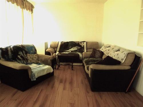 104 Mackenzie Avenue E, Atikokan, ON - Indoor Photo Showing Living Room