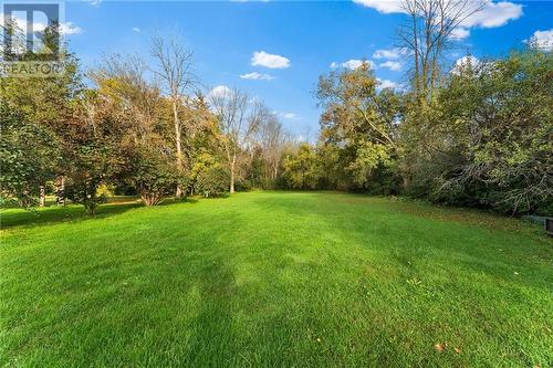 Large Lawn for all your entertaining needs! - 348/350 Kitley 8 Line, Elizabethtown-Kitley (814 - Elizabethtown Kitley (Old K.) Twp), ON - Outdoor