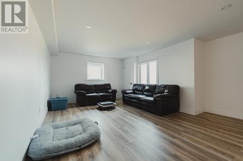 42 Pepperwood Drive, St. John'S, NL - Indoor Photo Showing Living Room