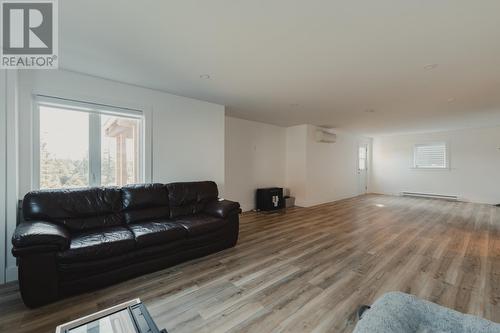 42 Pepperwood Drive, St. John'S, NL - Indoor Photo Showing Living Room