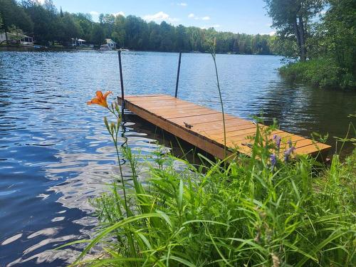 Bord de l'eau - 63 Ch. Du Tonnerre, Gracefield, QC 