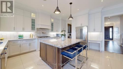 17 Creekview Avenue, Richmond Hill, ON - Indoor Photo Showing Kitchen With Upgraded Kitchen