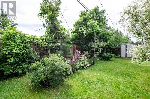 231 Ayer Ave, Moncton, NB - Outdoor