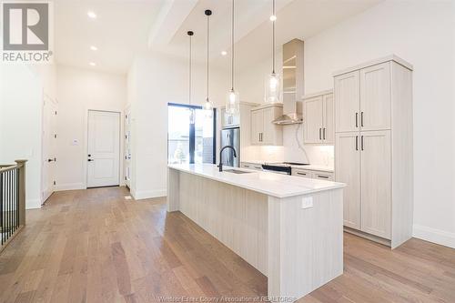 674 Lily Mac Boulevard, Windsor, ON - Indoor Photo Showing Kitchen With Upgraded Kitchen