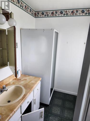 141 Old Petty Harbour Road, St. John'S, NL - Indoor Photo Showing Bathroom