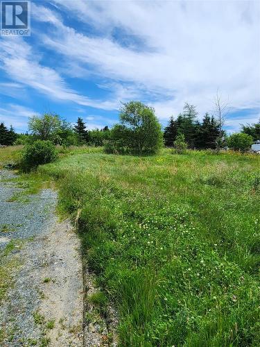 141 Old Petty Harbour Road, St. John'S, NL - Outdoor With View