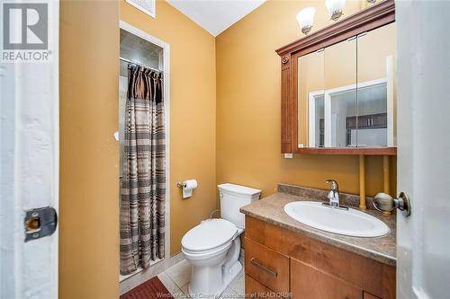 151 Curry Avenue, Windsor, ON - Indoor Photo Showing Bathroom