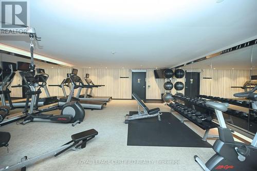 102 - 168 Sabina Drive, Oakville, ON - Indoor Photo Showing Gym Room