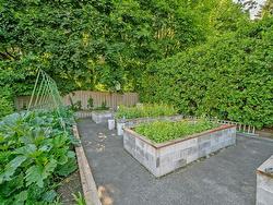 Garden - 