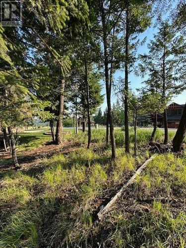 Lot 33 Ledgerock  Ridge, Invermere, BC 