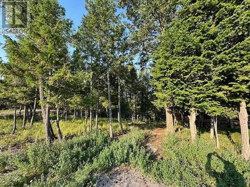 Lot 33 Ledgerock  Ridge, Invermere, BC 