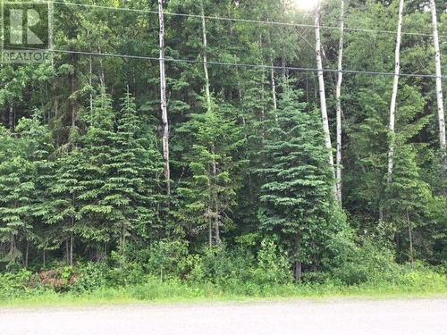 Lot C Norwood Road, Quesnel, BC 