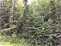 Lot C Norwood Road, Quesnel, BC 