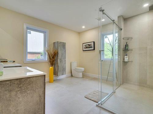 Ensuite bathroom - 126 Ch. Des Geais-Bleus, Piedmont, QC - Indoor Photo Showing Bathroom