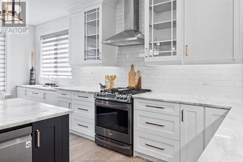 960 Chateau, Windsor, ON - Indoor Photo Showing Kitchen With Upgraded Kitchen