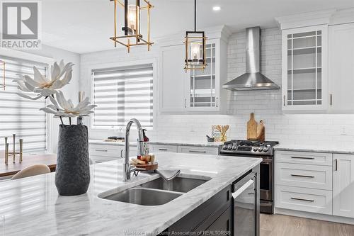 960 Chateau, Windsor, ON - Indoor Photo Showing Kitchen With Double Sink With Upgraded Kitchen