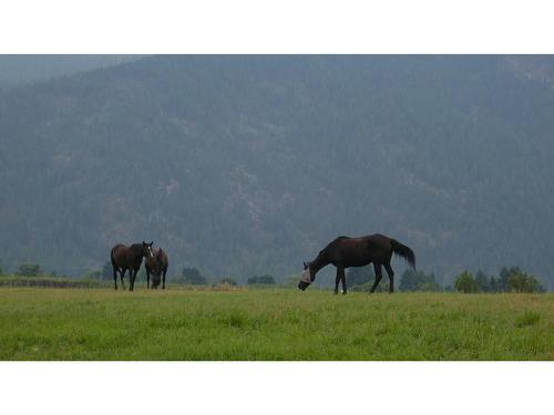 5695 International Road, Grand Forks, BC - Outdoor With View