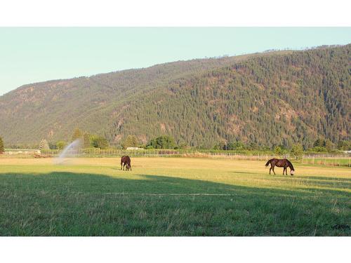 5695 International Road, Grand Forks, BC - Outdoor With View