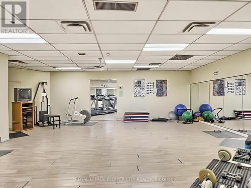 1603 - 390 Dixon Road, Toronto W09, ON - Indoor Photo Showing Gym Room