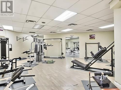 1603 - 390 Dixon Road, Toronto W09, ON - Indoor Photo Showing Gym Room