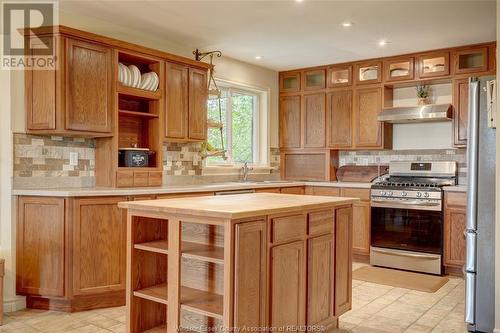 323 County Rd 27 East, Kingsville, ON - Indoor Photo Showing Kitchen