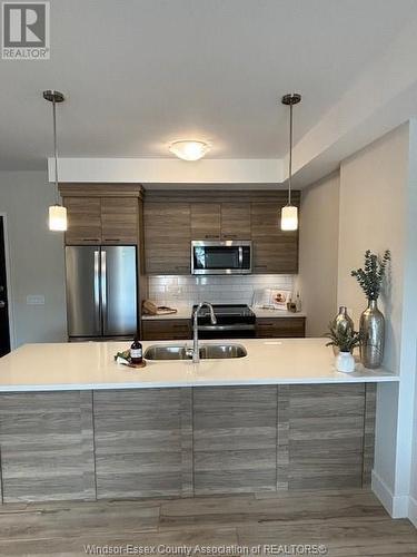 190 Main Street Unit# 301, Kingsville, ON - Indoor Photo Showing Kitchen With Double Sink With Upgraded Kitchen