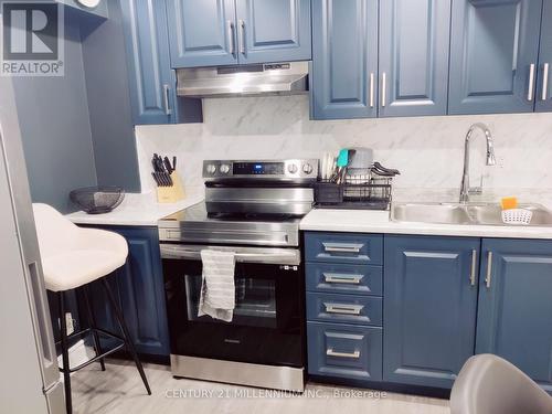 Bsmt - 21 Tessler Crescent, Brampton, ON - Indoor Photo Showing Kitchen With Double Sink With Upgraded Kitchen