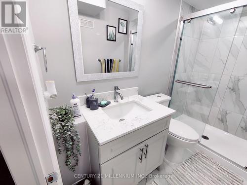 Bsmt - 21 Tessler Crescent, Brampton, ON - Indoor Photo Showing Bathroom