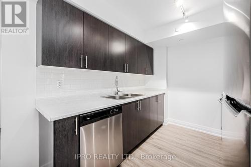 307 - 8 Trent Avenue, Toronto E02, ON - Indoor Photo Showing Kitchen With Double Sink