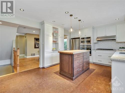 222 Walden Drive, Ottawa, ON - Indoor Photo Showing Kitchen With Upgraded Kitchen